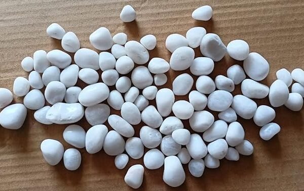 Colored Pebble Stone Gravels for Aquarium, Terrarium, Plants, Garden Decor (White)